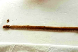 Quyền trượng chạm khắc từ xương động vật hé lộ tay nghề đỉnh cao 