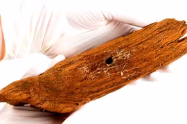 Phát hiện chiếc thuyền gỗ 1.000 năm tuổi, đồ chơi trẻ em hiếm có