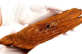 Phát hiện chiếc thuyền gỗ 1.000 năm tuổi, đồ chơi trẻ em hiếm có