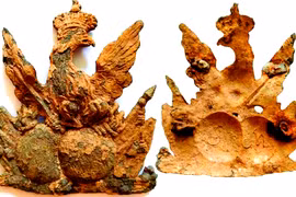 "Chim thần" 300 tuổi lộ diện, giới khảo cổ tranh cãi nảy lửa