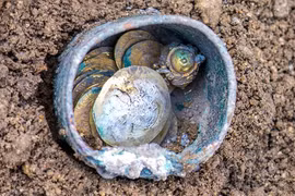 Sự thật rùng mình sau chiếc bình đồng chứa đầy vàng thời Thập tự chinh