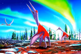 Sửng sốt xương khủng long bay 76 triệu năm tuổi có vết cắn