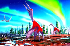 Sửng sốt xương khủng long bay 76 triệu năm tuổi có vết cắn