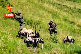 Trung Quốc ra mắt robot chó chiến đấu cùng binh sĩ