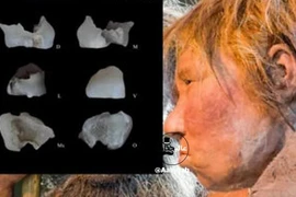 Phát hiện hài cốt 700.000 năm tại Iran viết lại lịch sử nhân loại?