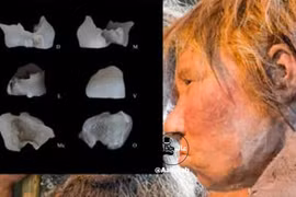 Phát hiện hài cốt 700.000 năm tại Iran viết lại lịch sử nhân loại?