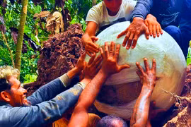 Bí ẩn bình tro cốt người – rùa giữa rừng Amazon cổ đại