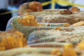 Chấn động danh tính chủ nhân ba chiếc quan tài gỗ sơn cổ Ai Cập