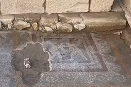 Bức tranh sàn khảm hiếm có, mô tả thần Cupid đang giao chiến