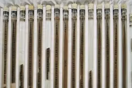 Vì sao gần 5.000 mảnh tre cổ lại quý hơn cả kho báu?