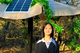 Nữ sinh sáng chế bẫy chạy bằng AI tiêu diệt côn trùng 