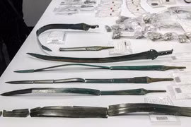 Phát hiện 7 thanh kiếm 3.000 năm cùng kho tiền khủng tại Đức