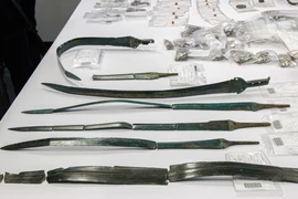 Phát hiện 7 thanh kiếm 3.000 năm cùng kho tiền khủng tại Đức