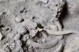 Hài cốt trẻ 29.000 năm tuổi hé lộ bí mật người tiền sử Thái Lan