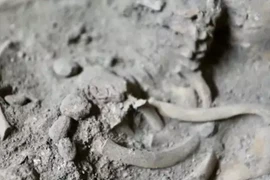 Hài cốt trẻ 29.000 năm tuổi hé lộ bí mật người tiền sử Thái Lan