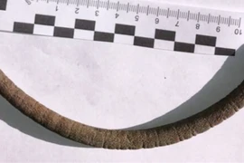 Thu dọn đồng cỏ, nông dân phát hiện chiếc vòng cổ đồng 2.500 tuổi 