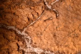 Hang động cổ ở Tây Ban Nha hé lộ bí ẩn 14.000 năm