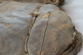 Chiếc yên ngựa trong mộ cổ nghìn năm, sửng sốt lai lịch thật