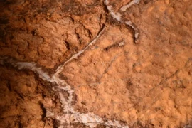 Hang động cổ ở Tây Ban Nha hé lộ bí ẩn 14.000 năm