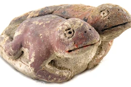 Tượng ếch dính liền độc lạ 3.800 tuổi