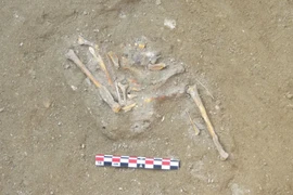 Ngôi đền chim ưng cổ đại hé lộ nghi lễ tôn giáo độc đáo của Ai Cập