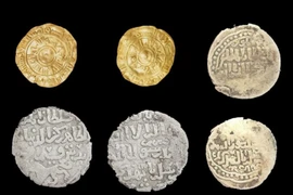 Kho báu tiền cổ đại gây sốc tại đền Esna, Ai Cập