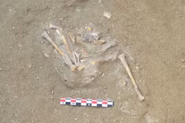 Ngôi đền chim ưng cổ đại hé lộ nghi lễ tôn giáo độc đáo của Ai Cập