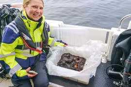 Tìm thấy đầu sư tử gỗ quái dị trong xác tàu chiến