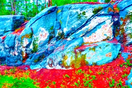 Thứ kỳ lạ trong tảng đá cổ khiến chuyên gia choáng váng