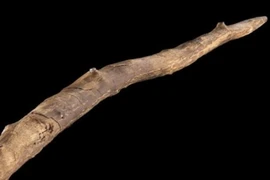 Vũ khí săn bắt 300.000 năm tuổi khiến giới khoa học sửng sốt