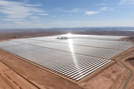 Châu Âu chật vật vì bụi Sahara
