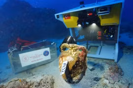 Phát hiện tàu đắm 1.100 năm chứa dầu ô liu ở Thổ Nhĩ Kỳ