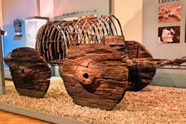 Cỗ xe ngựa Lchashen 3.500 năm tuổi nguyên vẹn khó tin