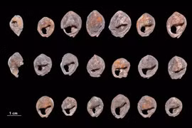 Có gì trong xưởng chế tác lâu đời nhất Tây Âu? 