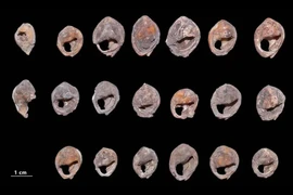 Có gì trong xưởng chế tác lâu đời nhất Tây Âu? 