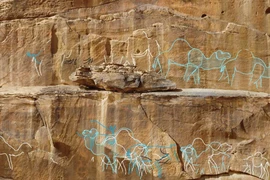 Soi bức chạm khắc trên đá 12.000 tuổi, tìm ra bí mật ngàn năm