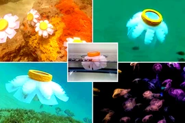 Chiêm ngưỡng sứa robot di chuyển nhẹ nhàng trong đại dương 