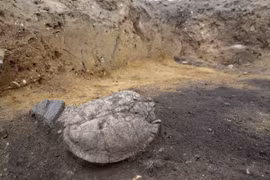 Đào đất xây sân vận động, chuyên gia kinh ngạc phát hiện di tích cổ