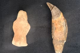 Bức tượng gấu 8.000 năm tuổi gây sốc giới khảo cổ học