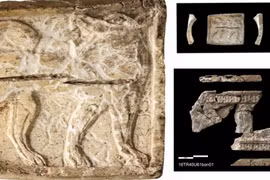 Chó sói xuất hiện trên bức chạm khắc cổ 3.000 năm tuổi