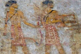 Phát hiện mới về âm nhạc trong lăng mộ cổ Ai Cập 5.000 năm tuổi