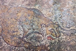 Tranh khảm La Mã cổ ẩn dưới bê tông hàng thế kỷ