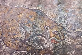 Tranh khảm La Mã cổ ẩn dưới bê tông hàng thế kỷ