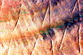 Bí ẩn bản khắc cổ nhất nhân loại trên vỏ sò hơn 500.000 tuổi