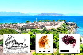 Trong xưởng nhuộm màu tím 3.600 năm, chuyên gia tìm thấy thứ lạ lùng