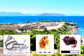 Trong xưởng nhuộm màu tím 3.600 năm, chuyên gia tìm thấy thứ lạ lùng