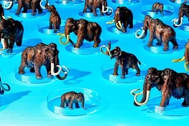 Có nên hồi sinh các loài động vật đã tuyệt chủng?