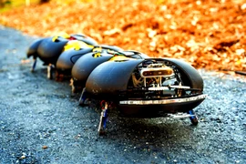 Rết robot dẹp cỏ dại khéo léo như người nông dân 