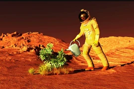 Nếu trồng cây trên sao Hỏa, chuyện lạ lùng gì sẽ xảy ra? 