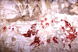 Bức tranh 43.900 năm tuổi hé lộ trí tuệ cổ đại siêu việt